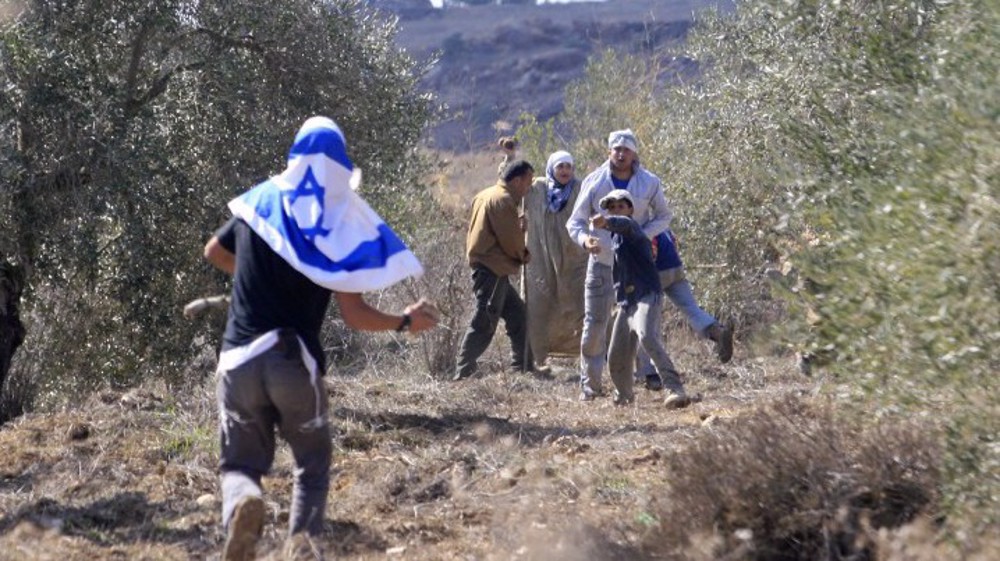 Israeli settlers violently attack Palestinian olive farmers  