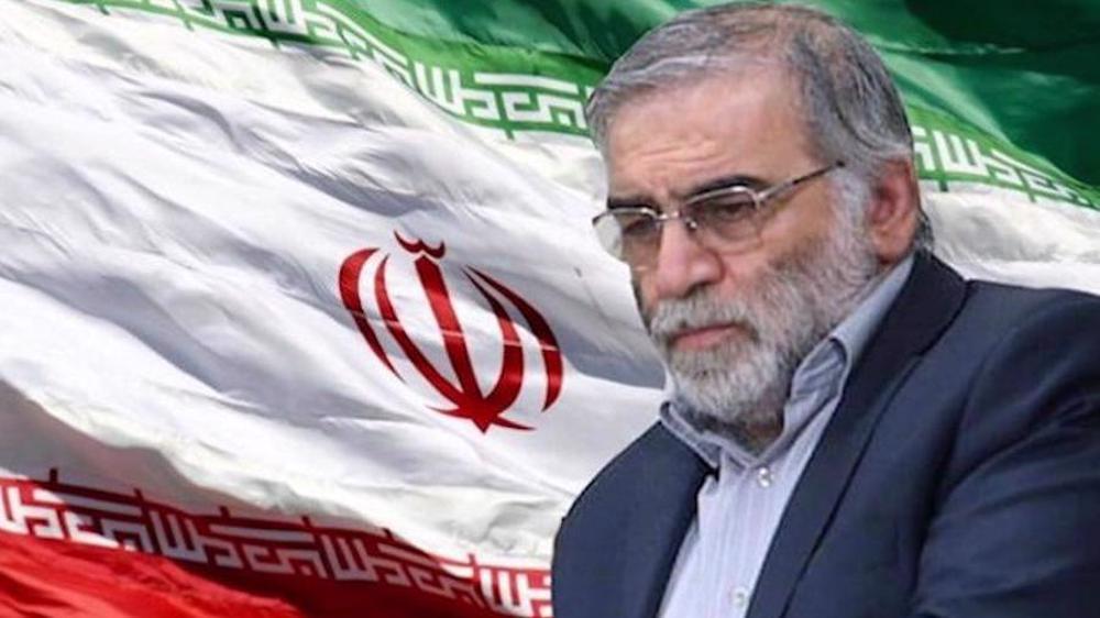 Iran commemorates martyrdom anniversary of top nuclear expert 