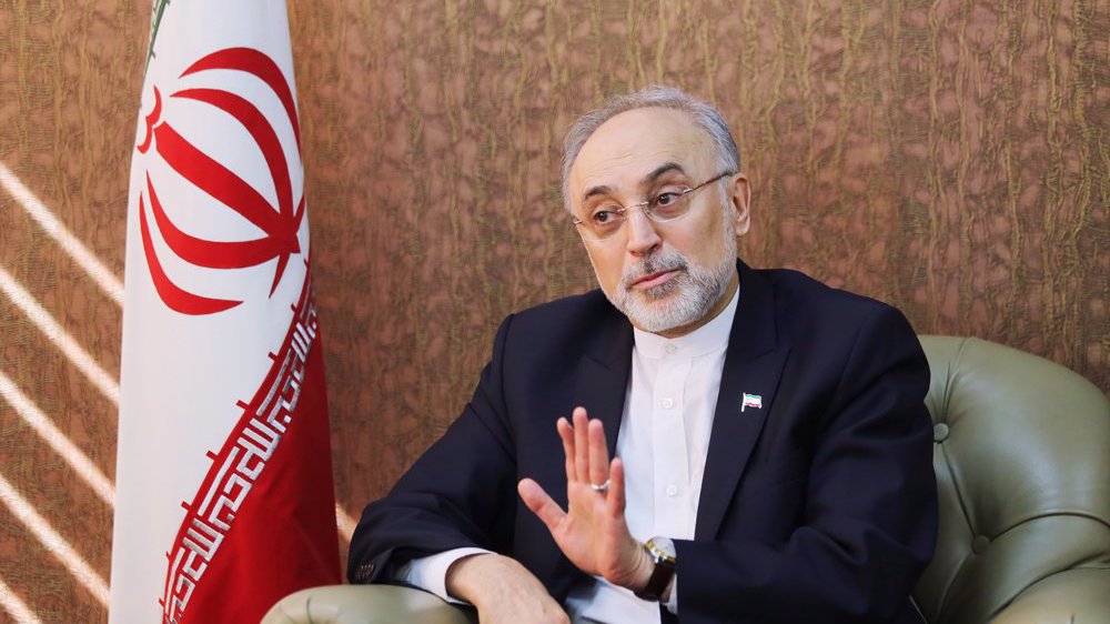 Iran to delete IAEA cameras’ data if US sanctions not lifted: Salehi 