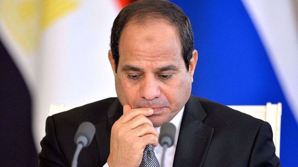 Dozens of countries urge Egypt to end crackdown on critics
