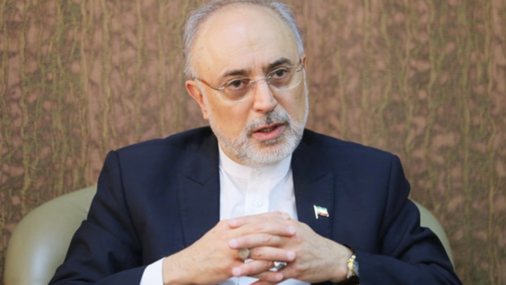 AEOI chief: Intl. community, IAEA must address ‘nuclear terrorism’ against Iran