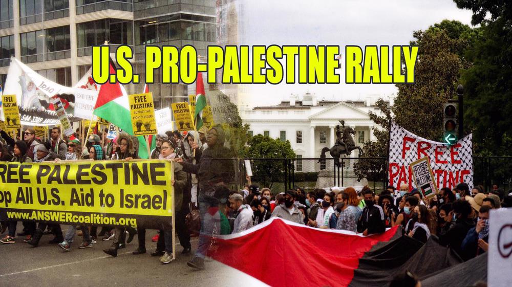 Pro-Palestine rally in Washington DC