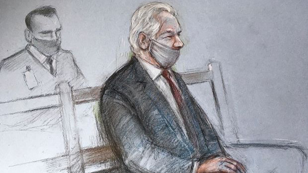 'Key witness in Assange case admits he lied in testimony' 