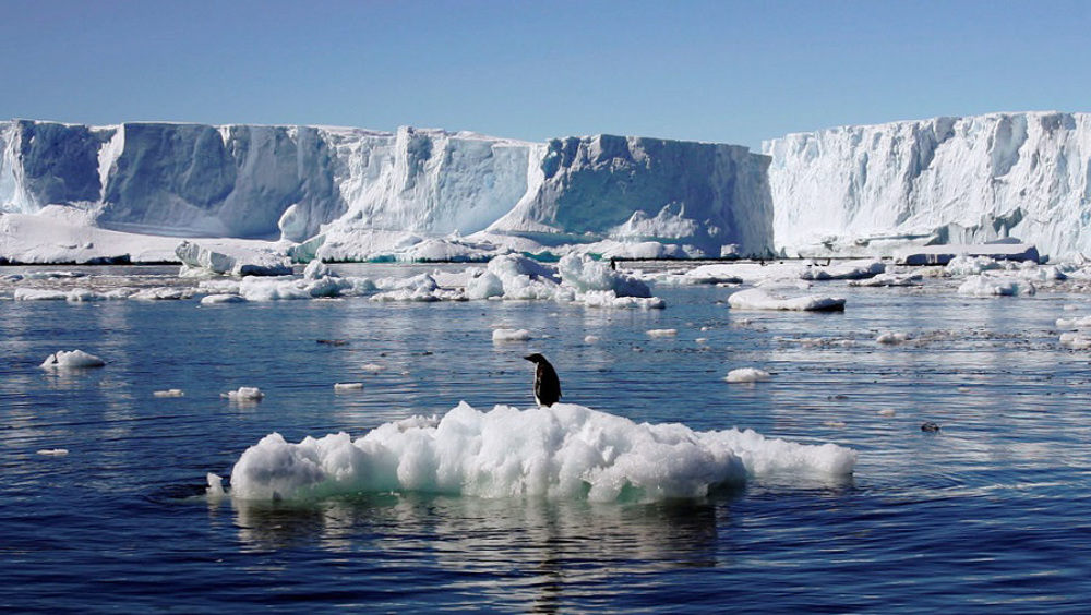 UN confirms 18.3 Celsius record heat in Antarctica