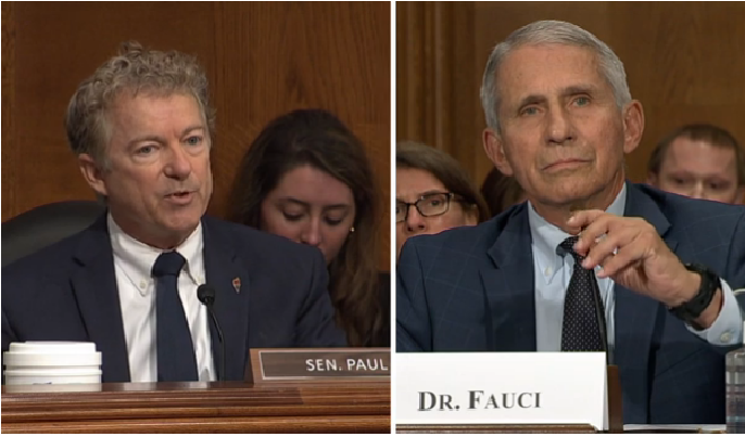 Sen. Rand Paul: Fauci, NIH could be partly responsible for Covid-19 pandemic