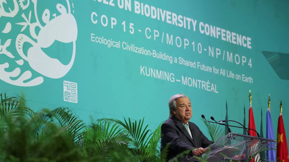 'Humanity has become a weapon of mass extinction,' warns UN chief