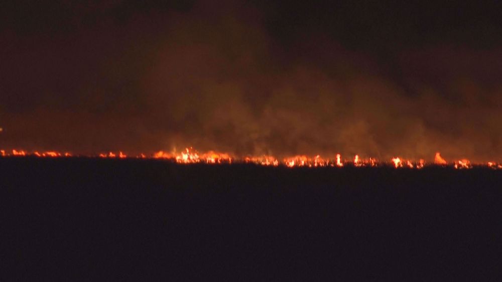 Fires ravage farms and wildlife in Argentina's Corrientes province