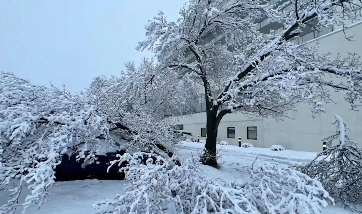 Snow storm leaves over 250,000 homes, businesses in US Northeast without power