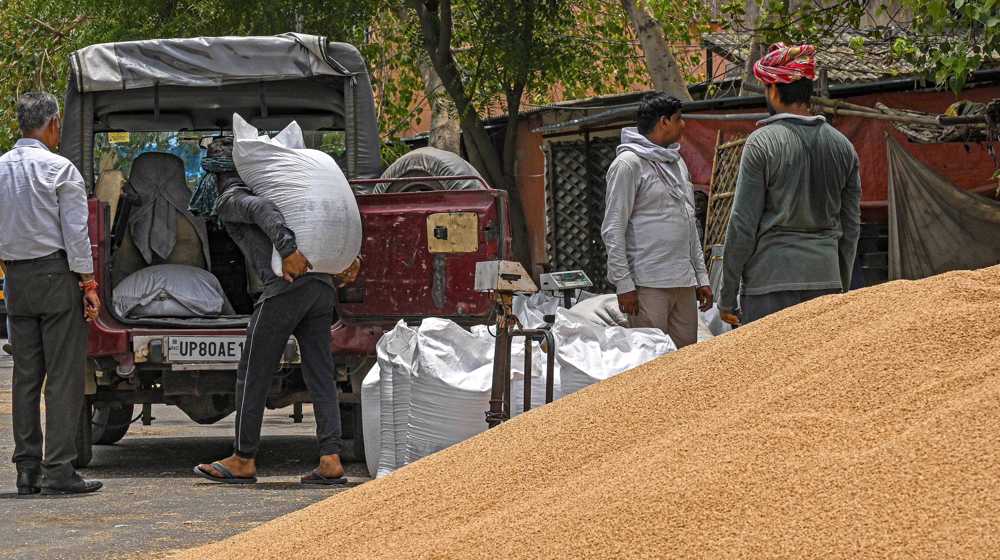 Wheat-laden trucks, ships stranded at Indian port after export ban
