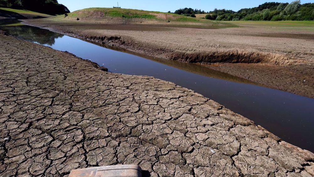 Drought declared across large parts of England amid surge in food prices