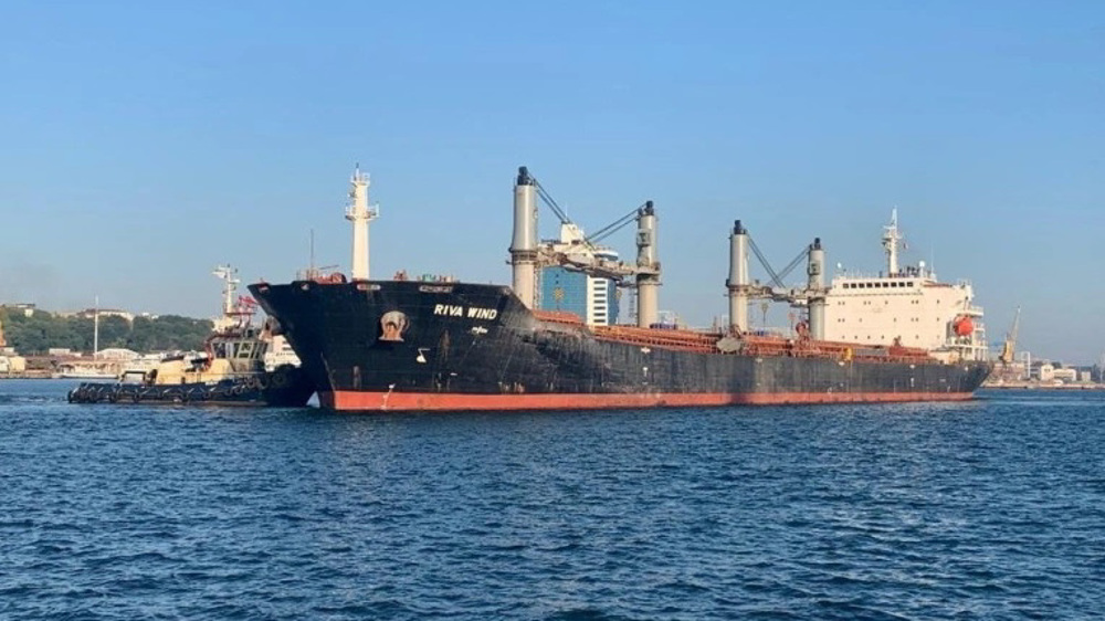 More bulk carriers of Ukrainian grain set sail amid war with Russia