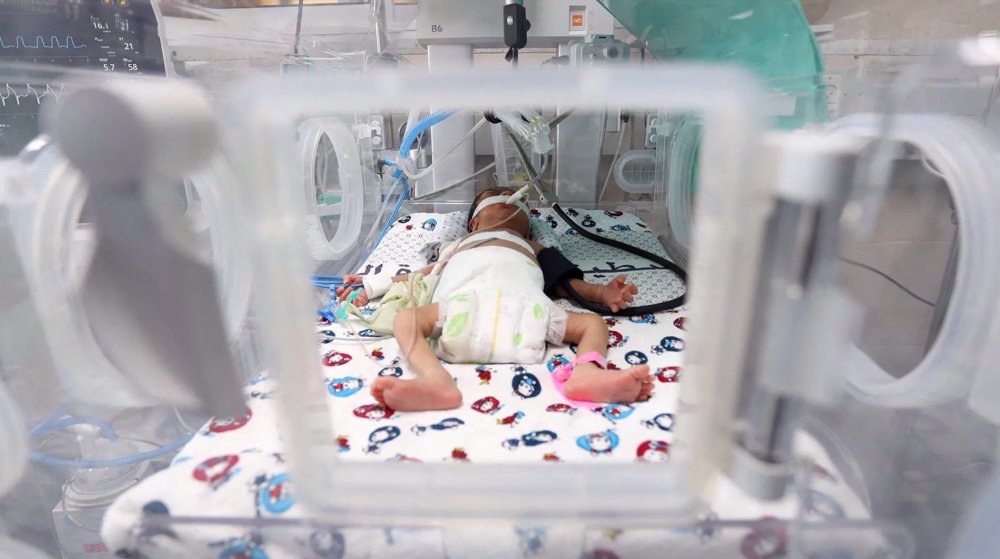Two premature babies die, 37 at risk in Gaza's al-Shifa Hospital