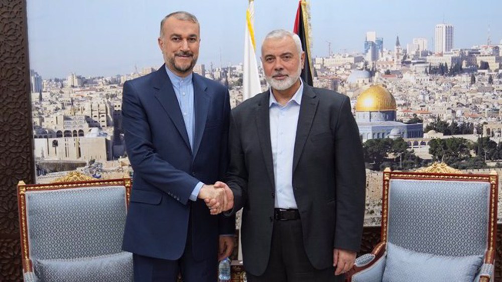 Hamas chief hails 'political and military victory', thanks Iran 