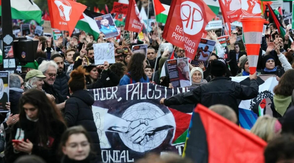 'It is genocide': Parisians rally to support Gazans, denounce Israeli war
