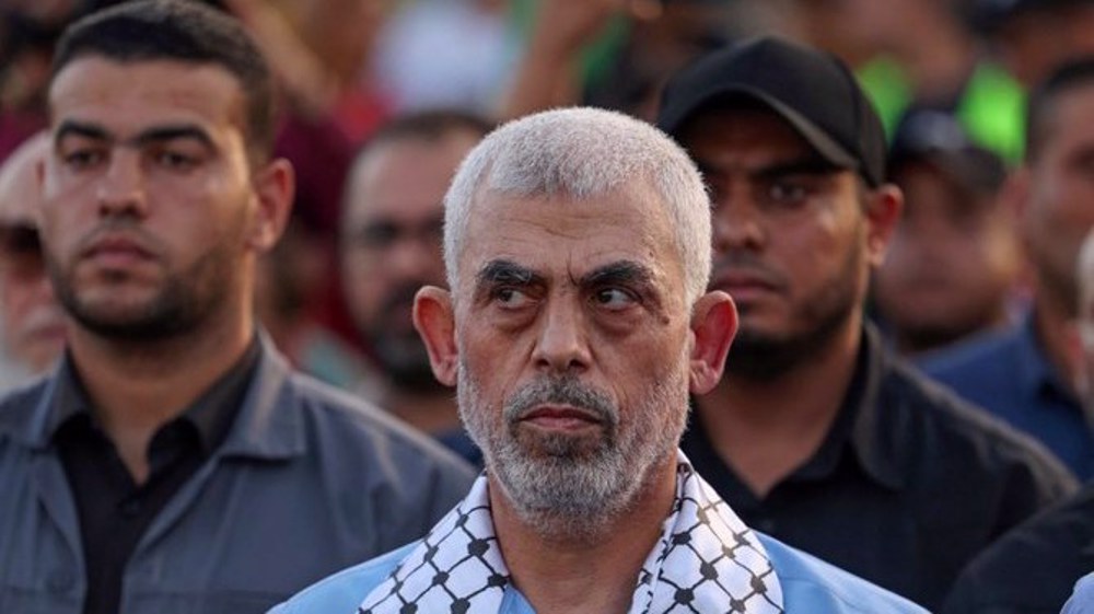 France sanctions Hamas chief in Gaza amid Israeli genocide 