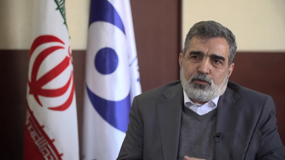 Nuclear spox on Press TV: IAEA claims 'politically motivated' to pressure Iran 