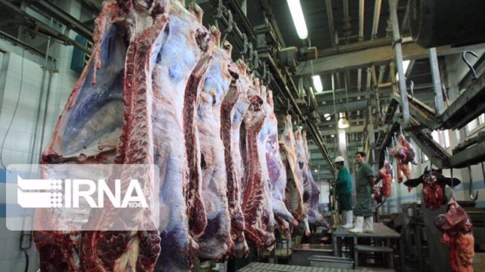 Iranian meat suppliers worried by massive imports plan