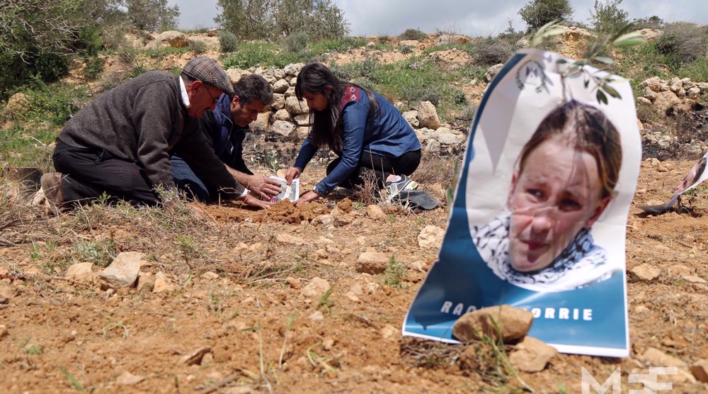 No justice 20 years after Rachel Corrie was crushed to death by Israeli bulldozer