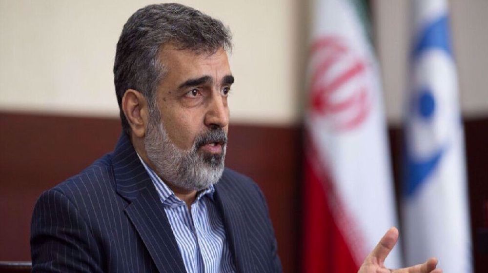 AEOI spokesman: Iran-IAEA agreements in line with parliament’s strategic law