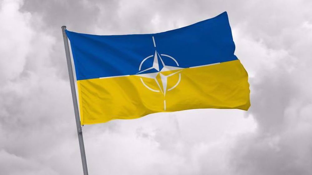 Ukraine has received nearly all pledged combat vehicles, NATO chief claims 