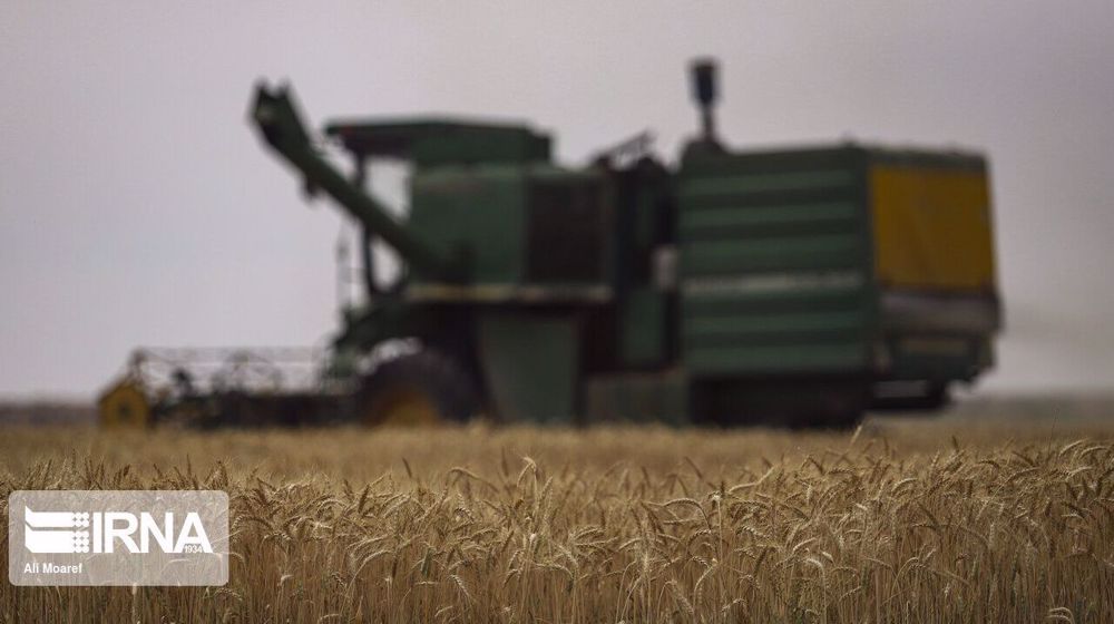 Iran reports 32% rise in April-May wheat output