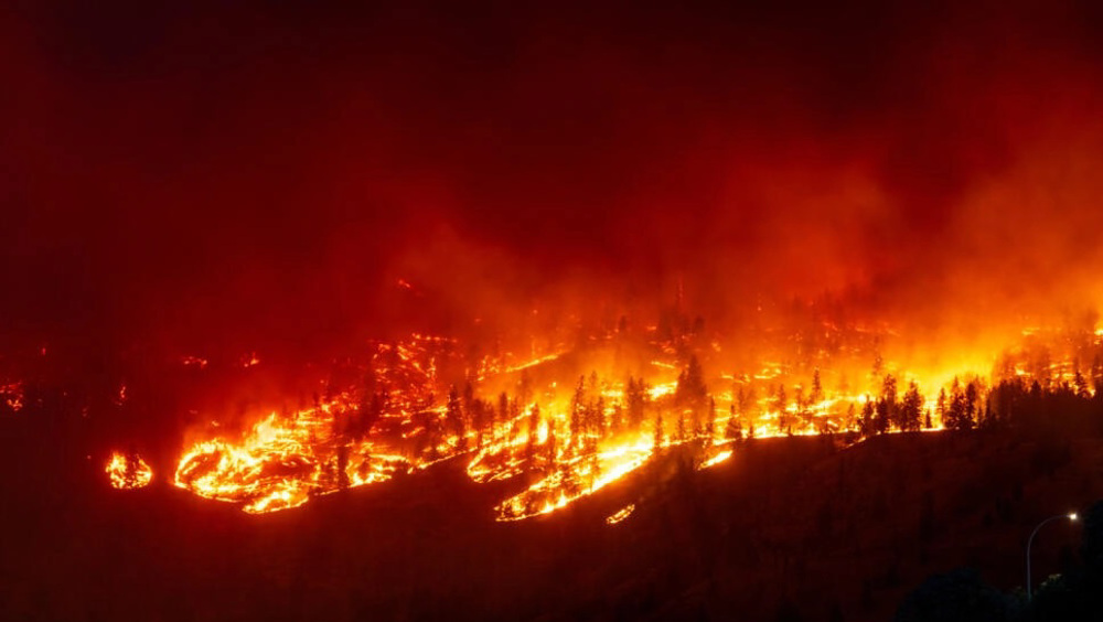 Canada's western province declares 'emergency' state amid devastating wildfires