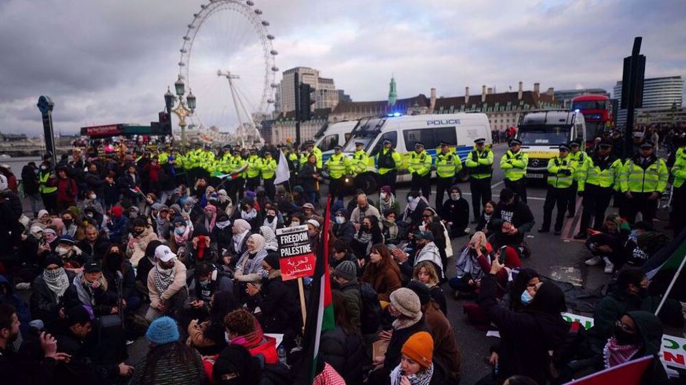 UK police clash with pro-Palestinian protesters in London