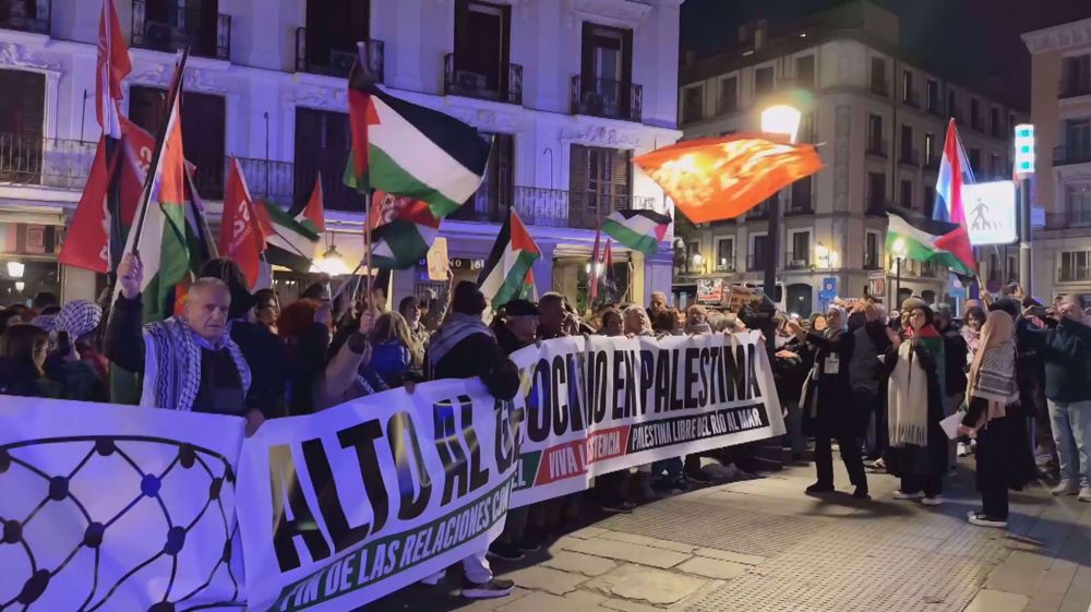 Hundreds rally in front of Foreign Ministry in Madrid against Israeli attacks on Gaza