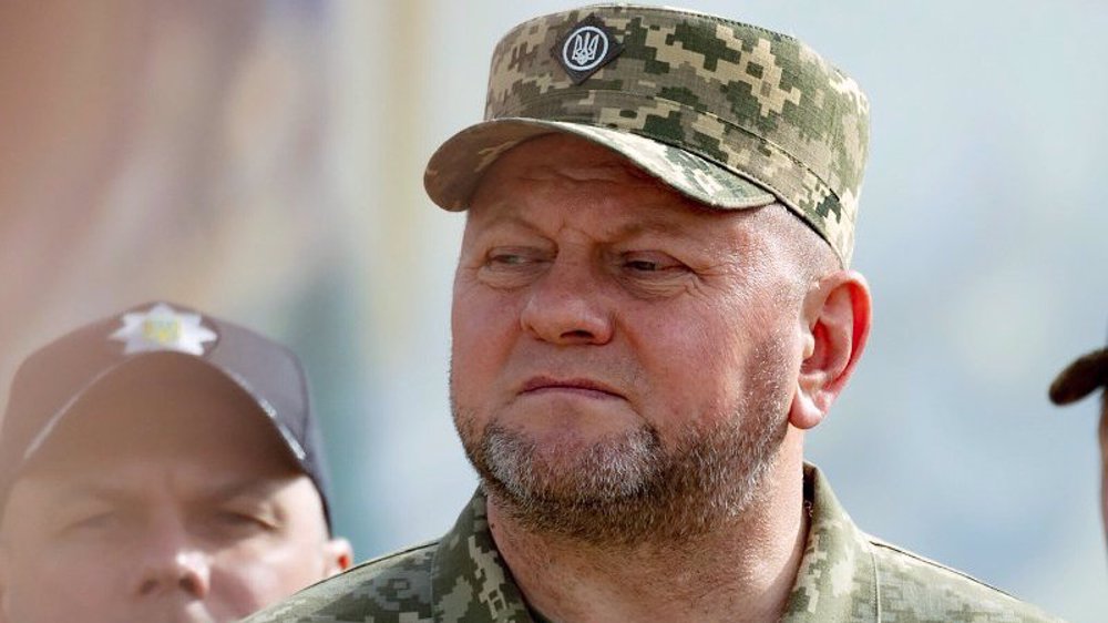 Ukraine’s Zelensky removes army chief amid war with Russia