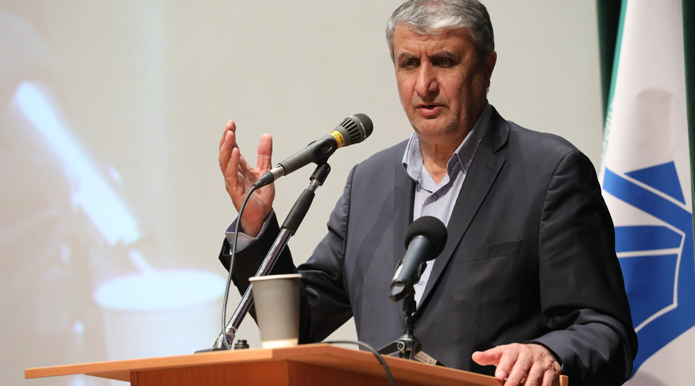 AEOI chief: Iran set to build more nuclear power plants, generate more electricity