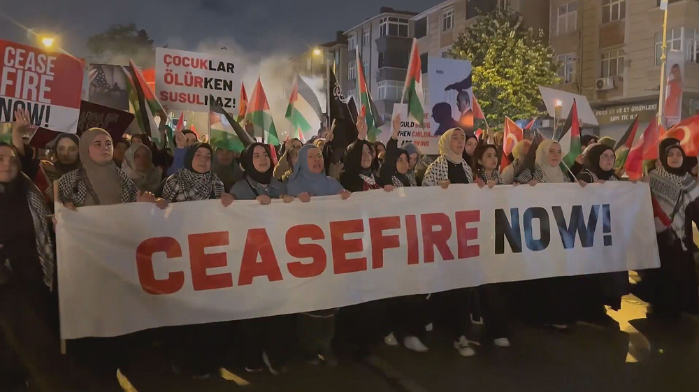 Thousands of Palestine supporters demand Gaza ceasefire at rally in Istanbul