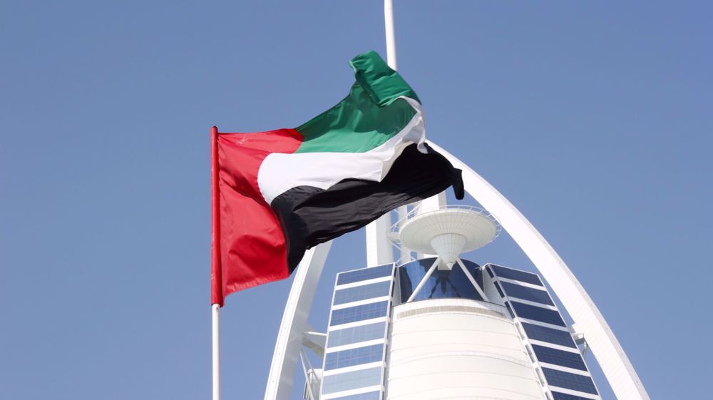 UAE flag