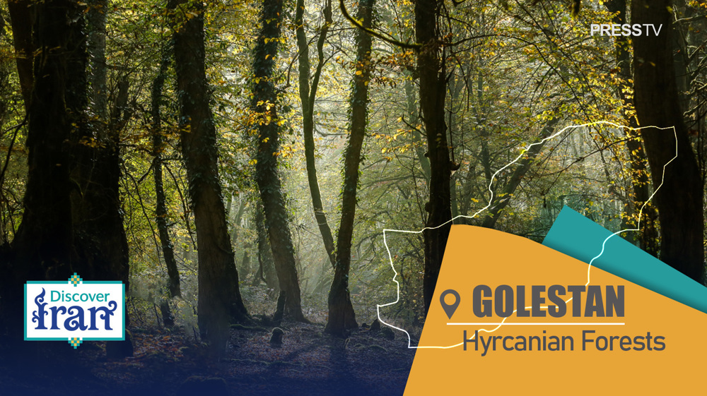 hyracanian-forests-golestan