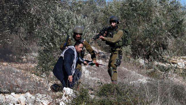 Israel detains 15 Palestinians in West Bank