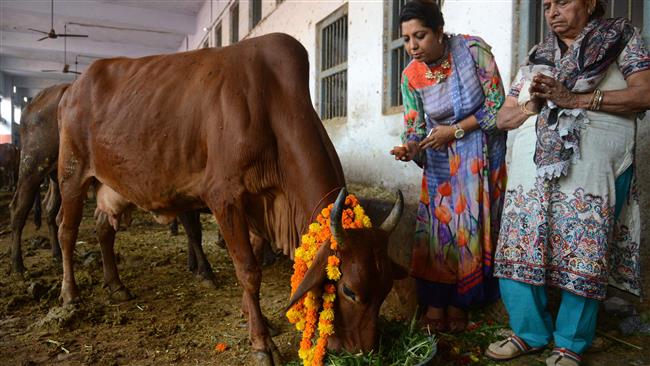Cow vigilantes attack Muslim family in Kashmir