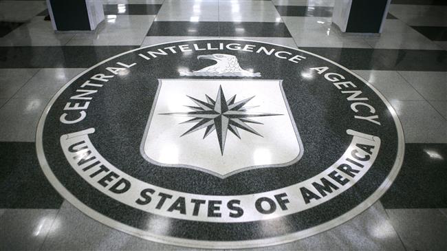 Ex-CIA contractor pleads guilty to data-theft 