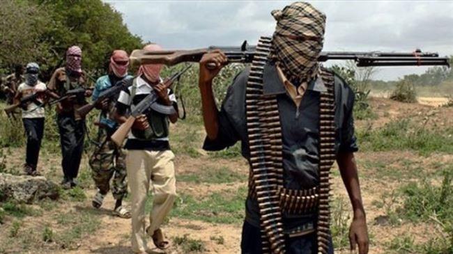 17 Boko Haram members get jail terms in Niger 