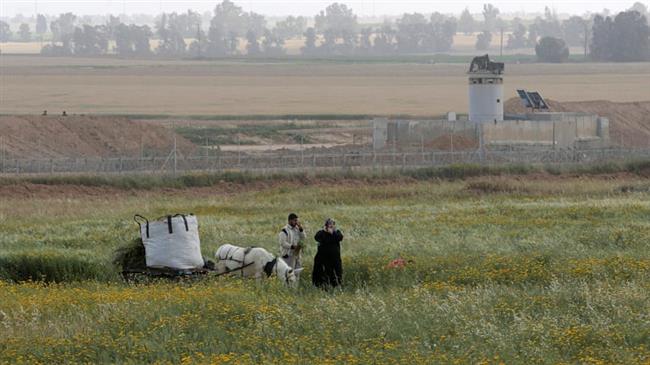 'Israel razes crops in Gaza with toxic chemicals'