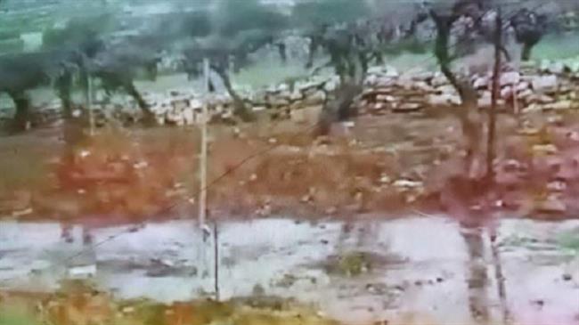 Israeli settlers flood Palestinian vineyards with sewage again