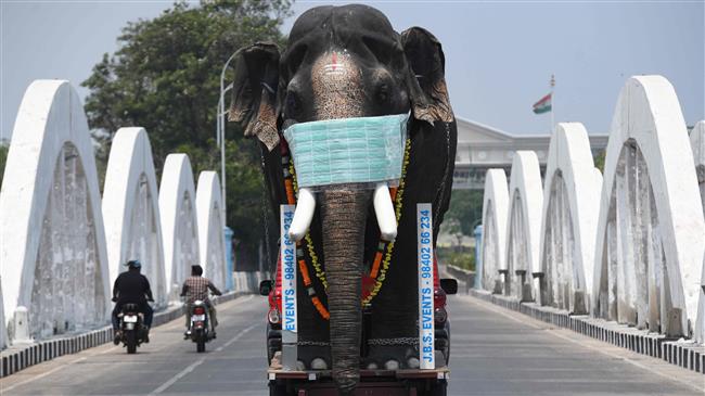 Indian police use life-sized mask-wearing model elephant to raise COVID-19 awareness