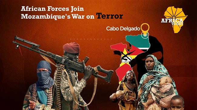 Mozambique's war on terror