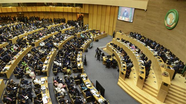 Over 200 dignitaries protest Israel observer status at African Union 