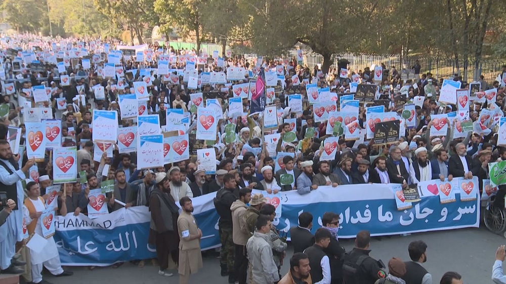 Afghans mark Unity Week amid wave of Islamophobia