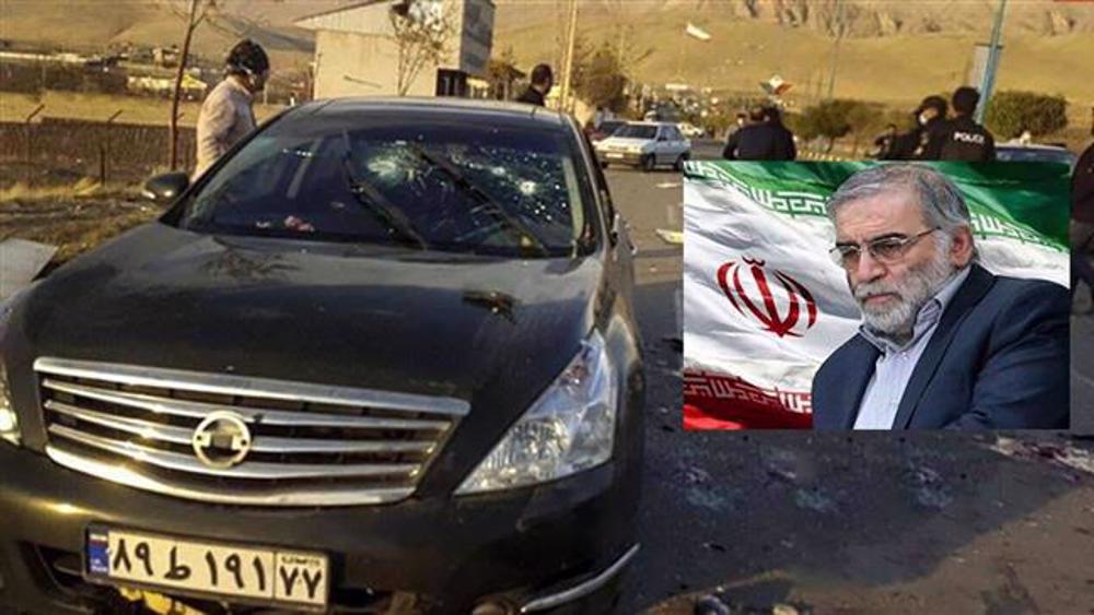 World must react, firmly, to assassination of elite: Iran envoy