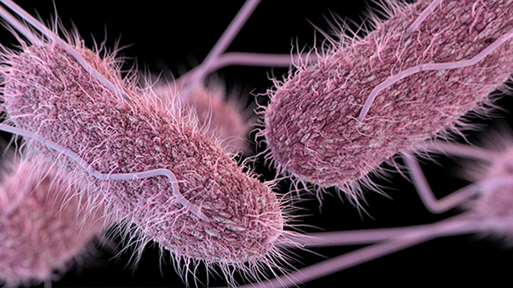  23 US states hit by salmonella outbreak