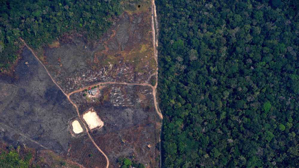 Brazil’s Bolsonaro calls surging Amazon fires a ‘lie’