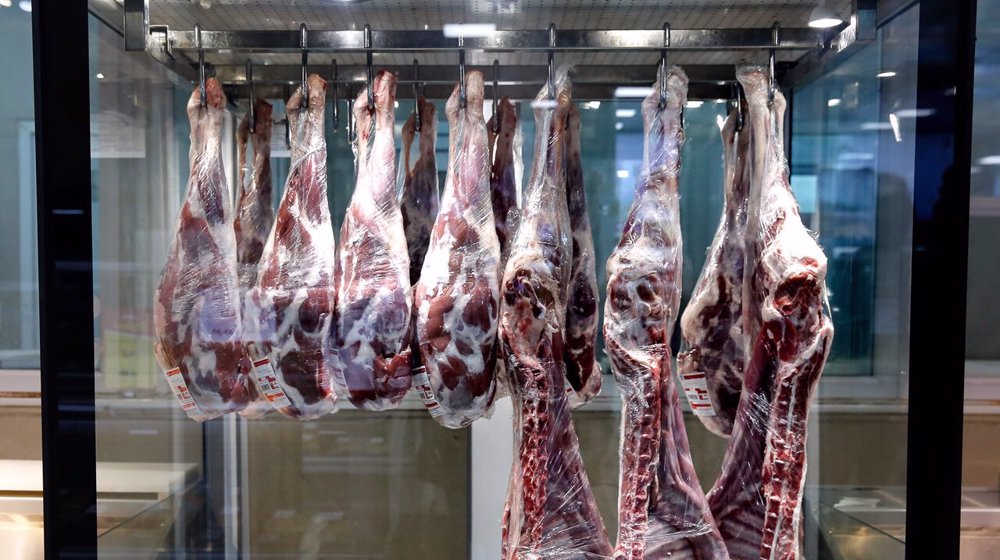 Iran meat output up by 44% y/y in July: SCI