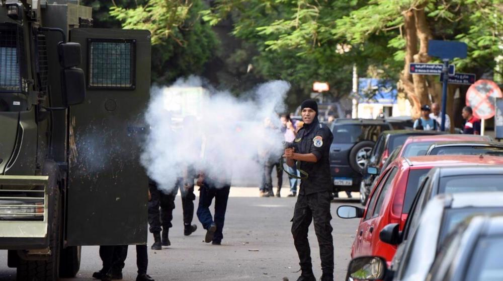 Egypt police arrest 382 people protesting against Sisi: Rights group