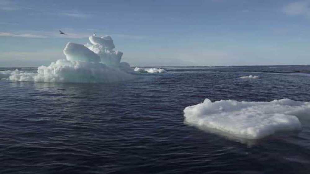 Earth losing ice faster today than in mid-1990s: Study 