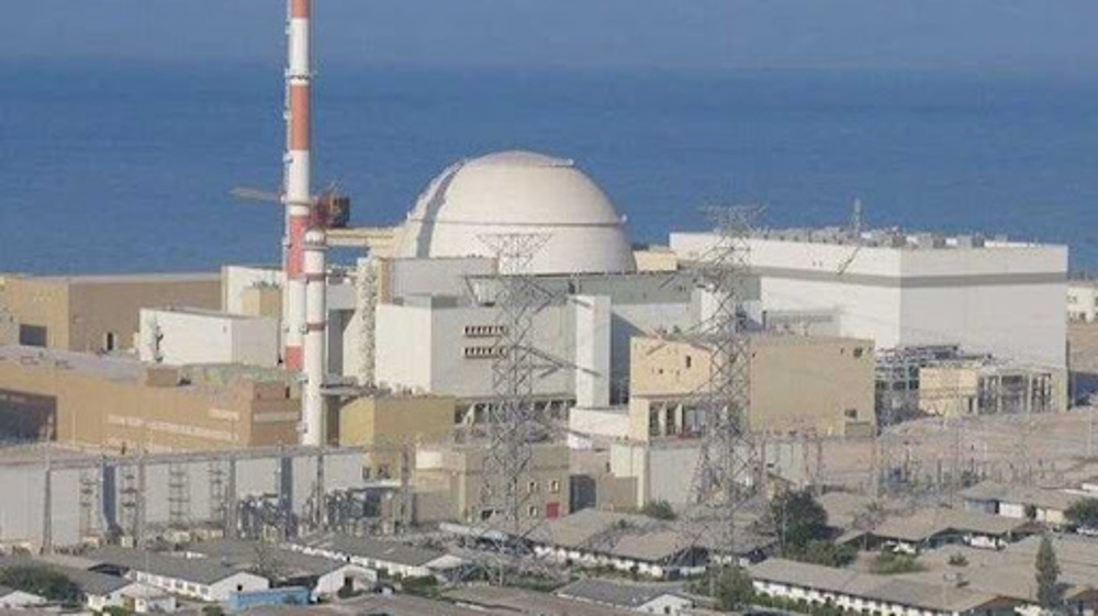 Iran plans to generate 50% of its electricity from nuclear power: AEOI chief